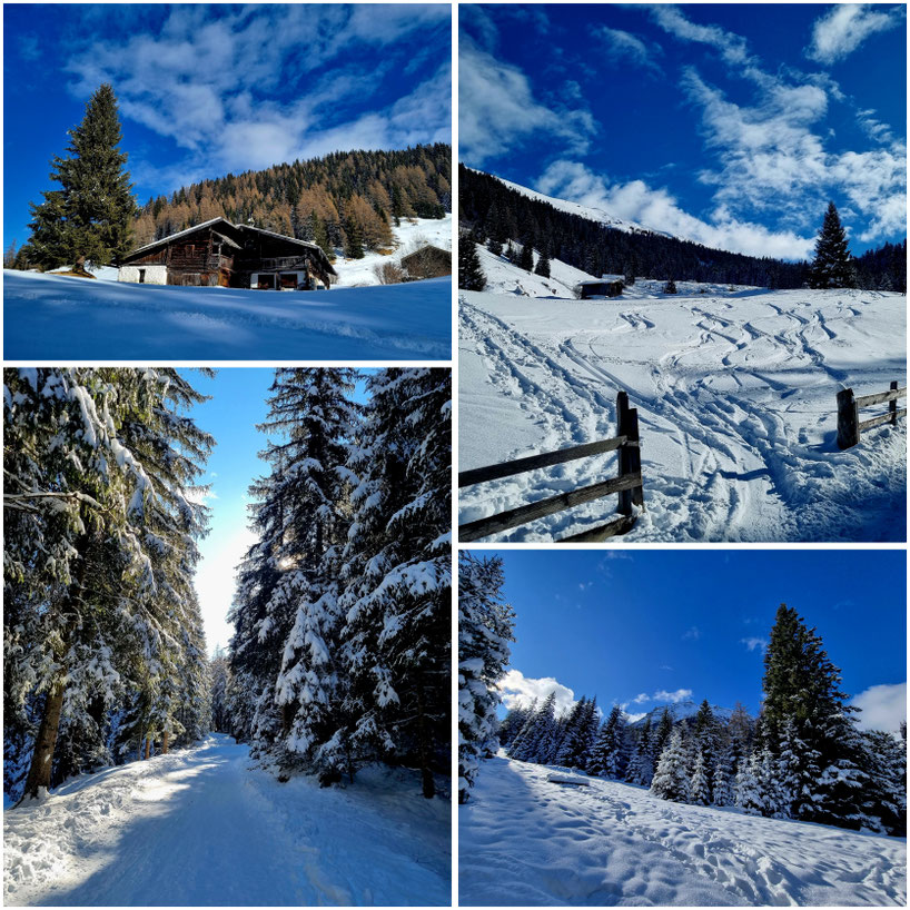  babebi-ontour.com, Hatschn&Haxln, durch ganz Österreich, Tirol, Wipptäler, Obernberger See, Winterwanderung, Winterzauber, Rodeln, Schlitten fahren, Rodeln mit Kindern, Schneeschuh Wanderung