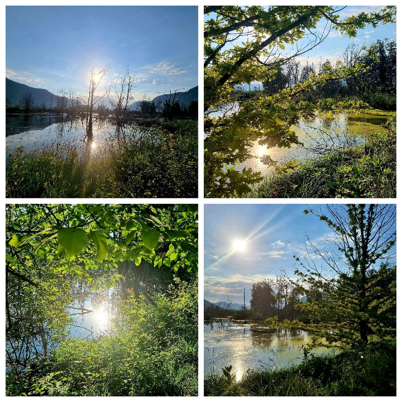  babebi-ontour.com, Hatschn&Haxln, durch ganz Österreich, Alpe Adria Trail, Weitwandern in Österreich, Kärnten, Badeseen Kärnten, Geheime Plätze in Kärnten, Ossiacher See, Faaker See