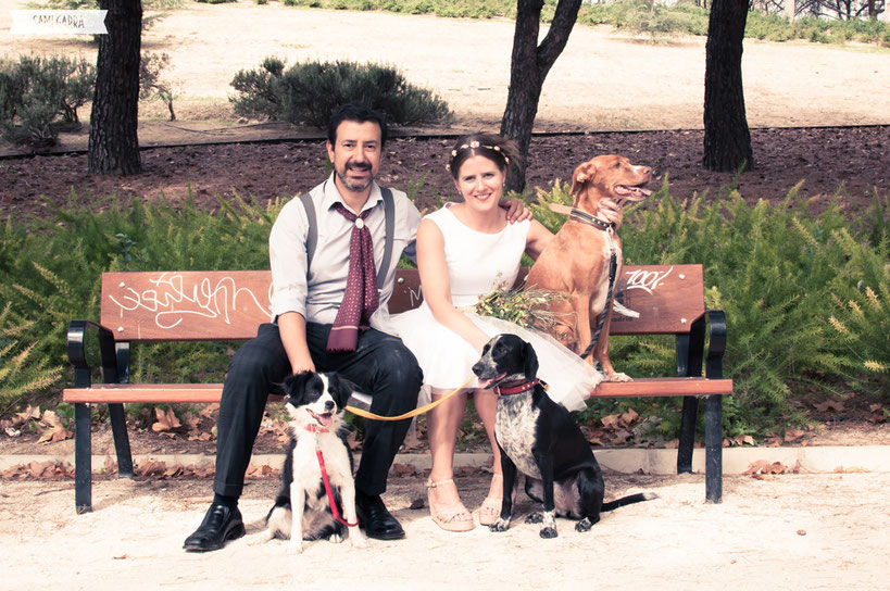 Mari, Héctor y su familia perruna ^.^