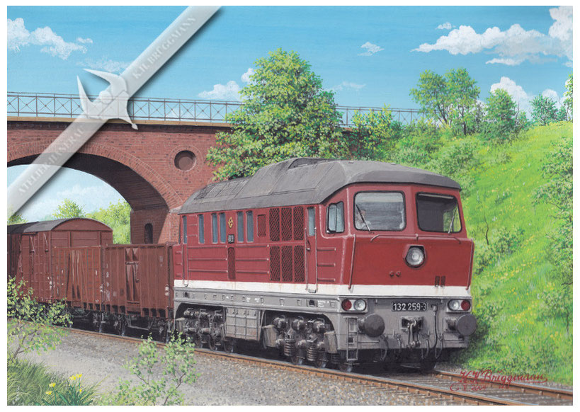 Diesellok DR 132 259 - 3 mit Güterzug bei Calbe / Saale 1985