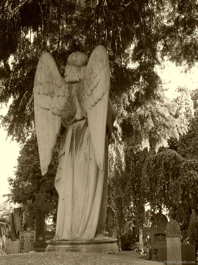 Altstadtfriedhof Aschaffenburg MelanieaufReisen