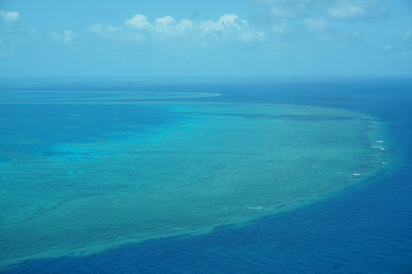 Great Baffier Reef Australien sunnybee travel reiseblog Flug reise tauchen schnorcheln tour