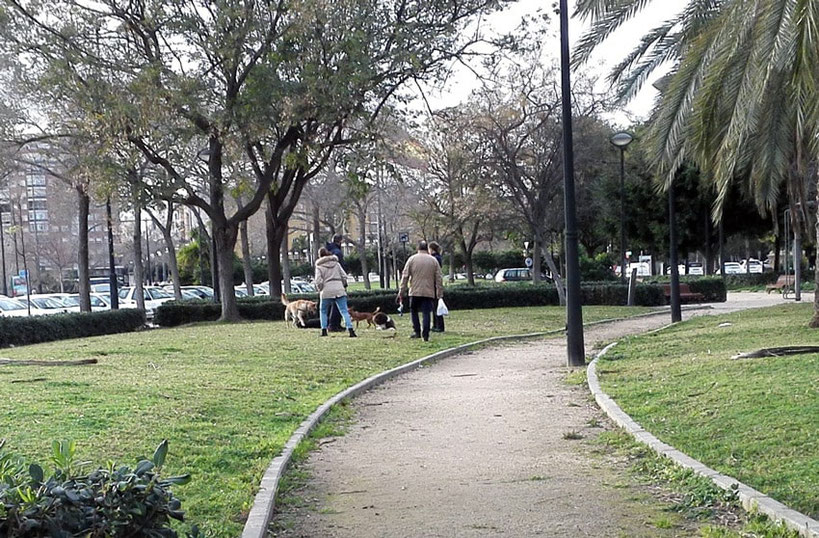 Perros en parques y jardines en la Ciudad de las Artes y de las Ciencias en València sin correa sueltos y sin bozal, heces sin recoger, suciedad y peligro para la salud.