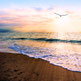aufgehende Sonne am Meer mit Adler, der in die Sonne fliegt