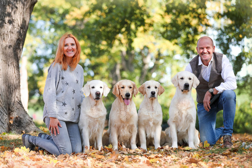Uber Uns Golden Retriever Zucht In Tirol