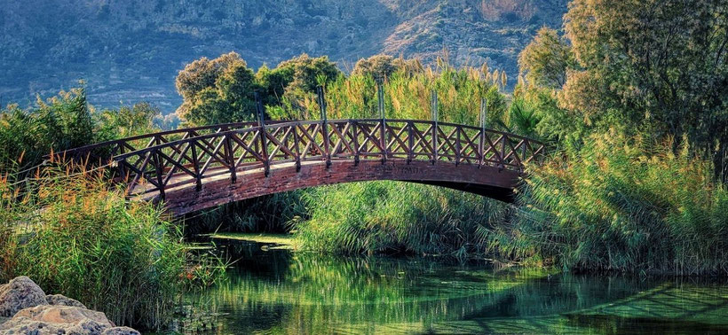 Ganzheitliche Psychotherapie in Wiesbaden - Behandlung psychischer und psychosomatischer Störungen