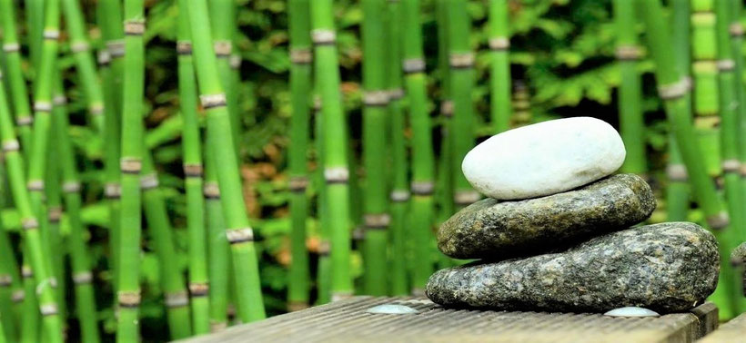 Ganzheitliche Psychotherapie Wiesbaden: Schwerpunkte Angst, Trauma, Trauer & Krisen