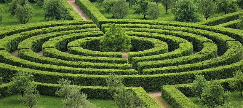 Schwerpunkte und Behandlungsfelder der Praxis für Psychotherapie Wiesbaden: Trauma, Angststörung und Beziehungsprobleme
