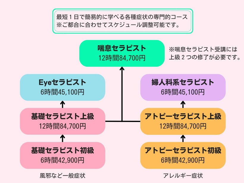 おうち整体ホームセラピストコース（最短一日で簡易的に学べる各種症状の専門的コース）