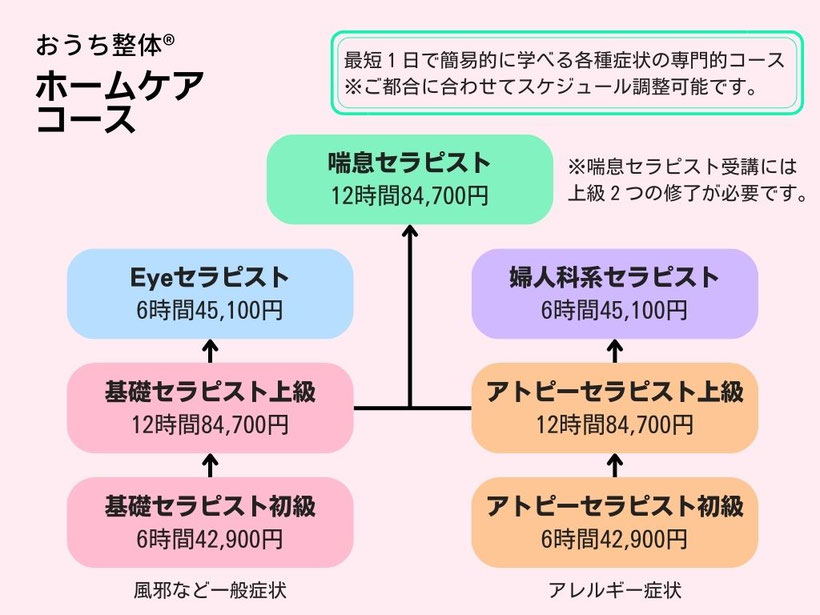 おうち整体ホームセラピストコース（最短一日で簡易的に学べる各種症状の専門的コース）
