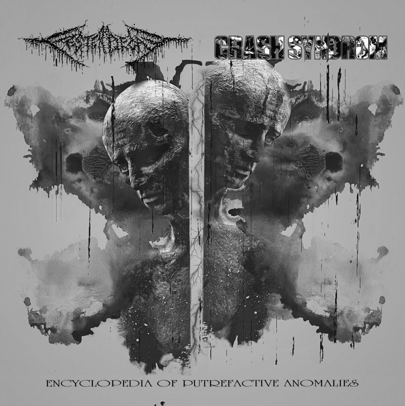 FESTERDECAY (JP) / CRASH SYNDROM (JP) "Encyclopedia of Putrefactive Anomalies" to be released on September, rockers and oter animals
