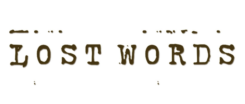 Acoustic project Lost Words are proud to present their official video for the track "Falling", taken from their debut "Hopeless Leftover" released on 24 01 2020 via Epictronic. 