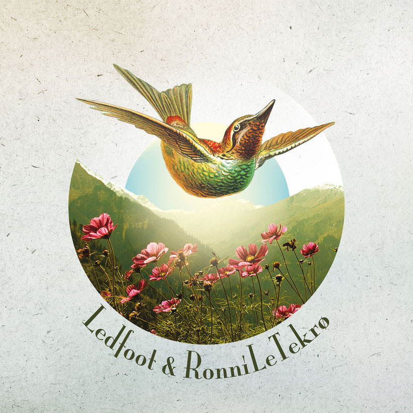 Ledfoot, Ronni Le Tekrø, A Death Divine, Album, rockers and other animals, TBC Records, TNT, Tim Scott McConnell, Damned,