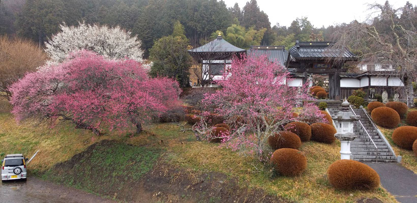 板荷無量荘《平賀ファイナンシャルサービシズ㈱》