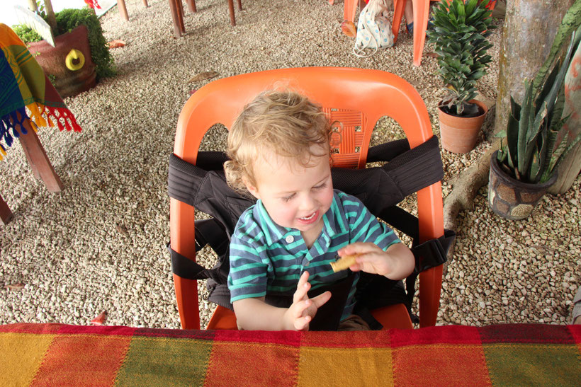 Onya Baby NexStep Integrated chair