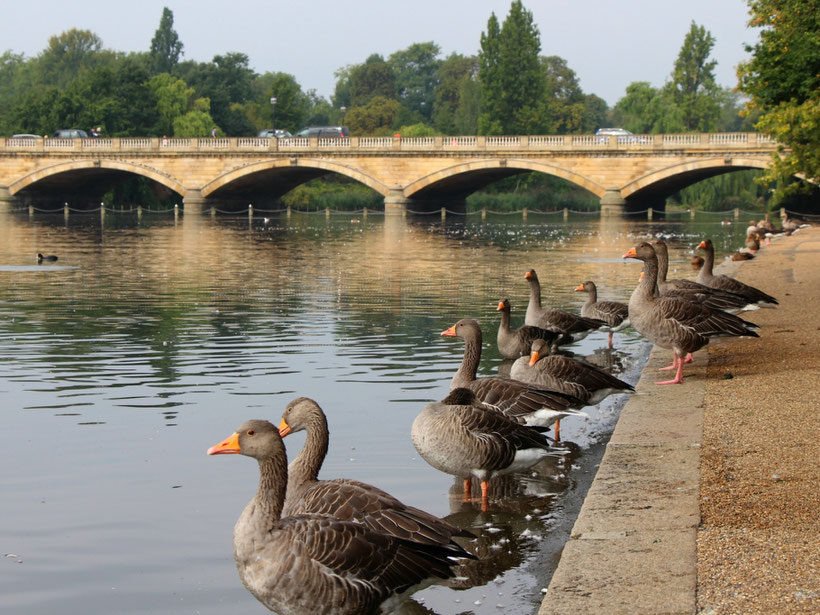 Hyde Park London