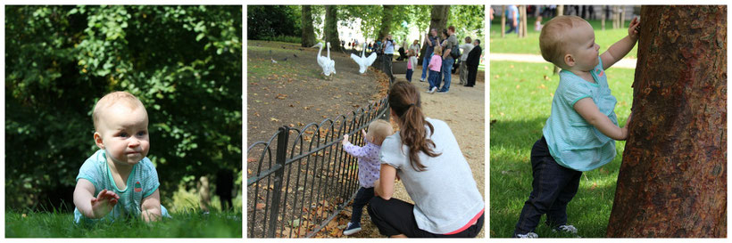 St. James's Park - Giving Baby Time to Play in London