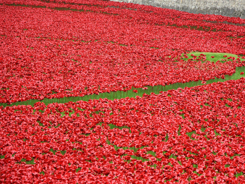 Poppies Tower of London