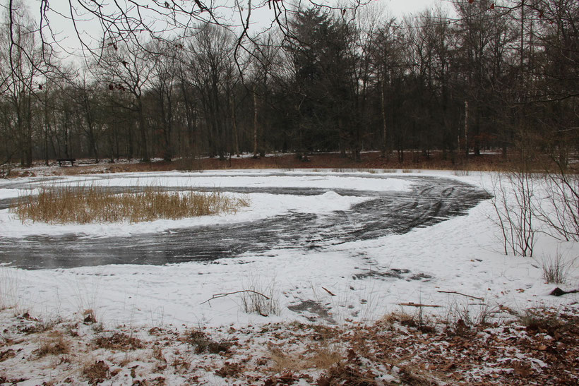 Het bekende vennetje langs het Slingerpad, vele hebben hier geschaatst.