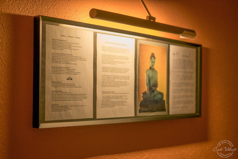 Vipassana, Meditation, Retreat, Beatenberg, Meditationszentrum Beatenberg, Schweiz, Schweigeretreat, Dhamma, Metta
