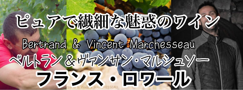 フランス・ロワールのピュアで繊細なワインの造り手ベルトラン＆ヴァンサン・マシュソー兄弟