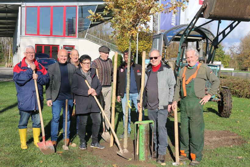 Aktion BipfZu beginnt am 10.11.2022 - SDW BC pflanzt Eiche im Spotzentrum Neufra