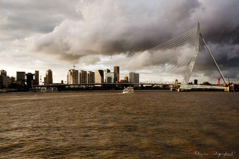 Rotterdam sky line en de Erasmus brug