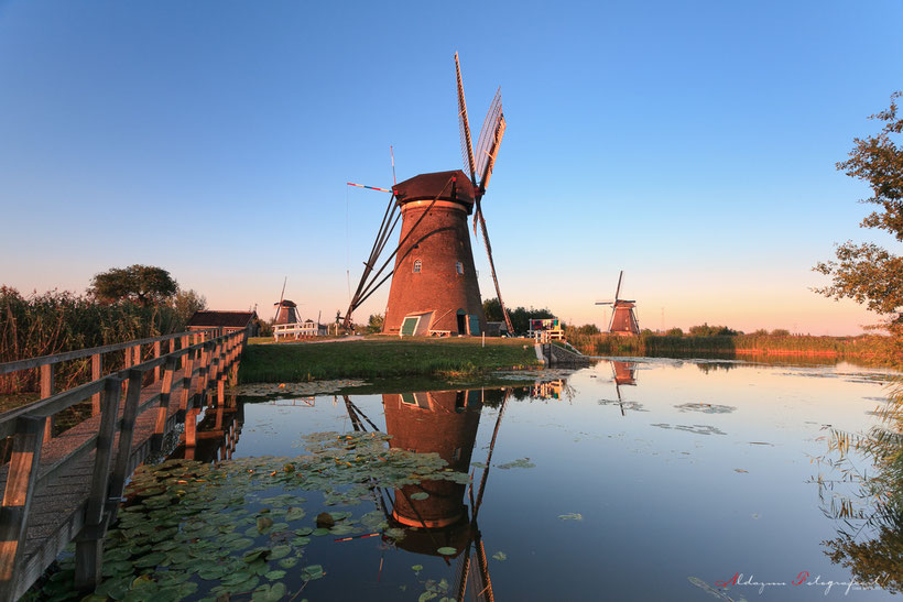 Kinderdijk, Molens, Wim Zilver, water, kanaal, waterplanten