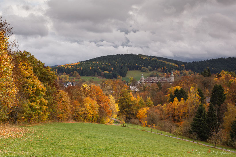 Duitsland, Bad Berleburg, Herfstkleuren