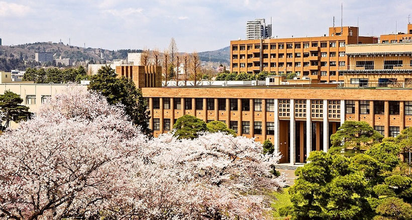 東北大学の新卒を幹部候補として採用するべき理由
