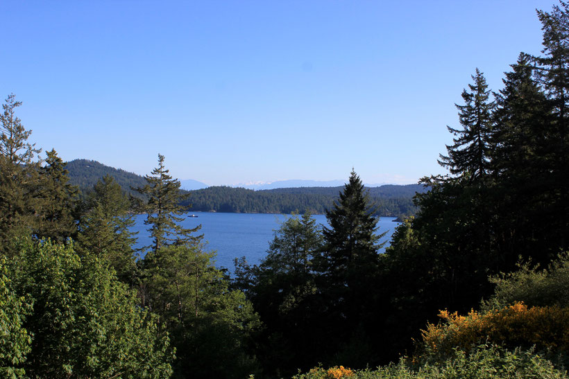 view from our house