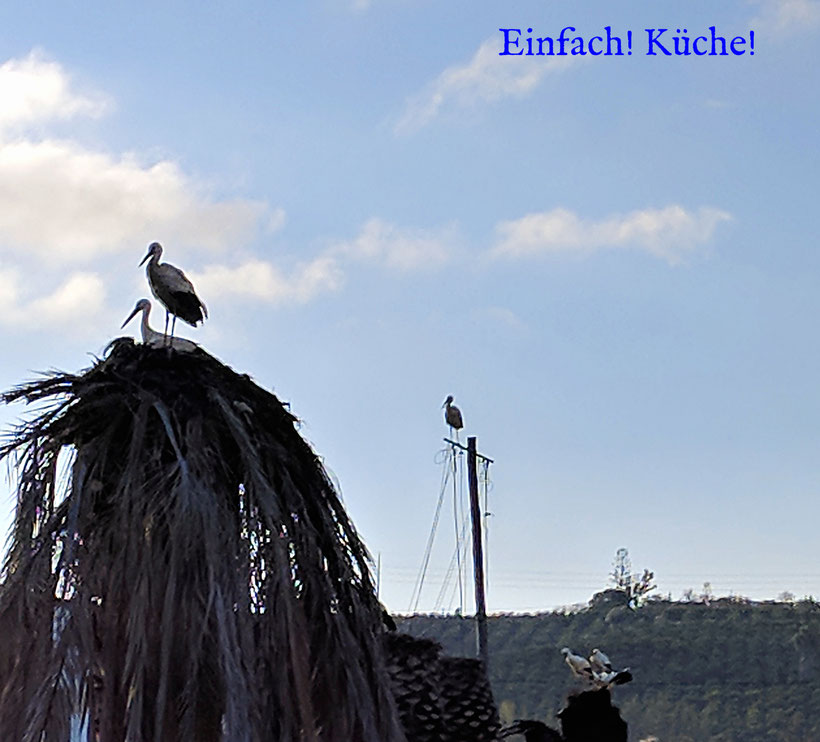 Einfach! Küche! Störche im Paradies in Silves Portugal