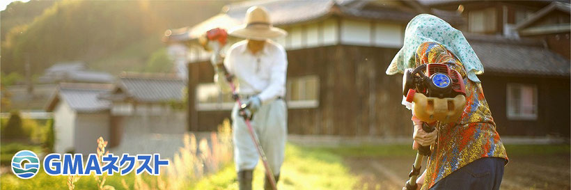 日本における農業人口の減少と高齢化画像