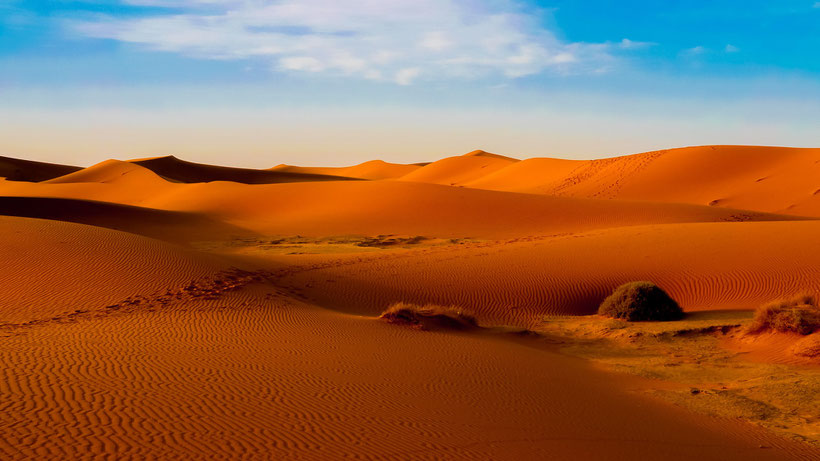 corralejo dunes