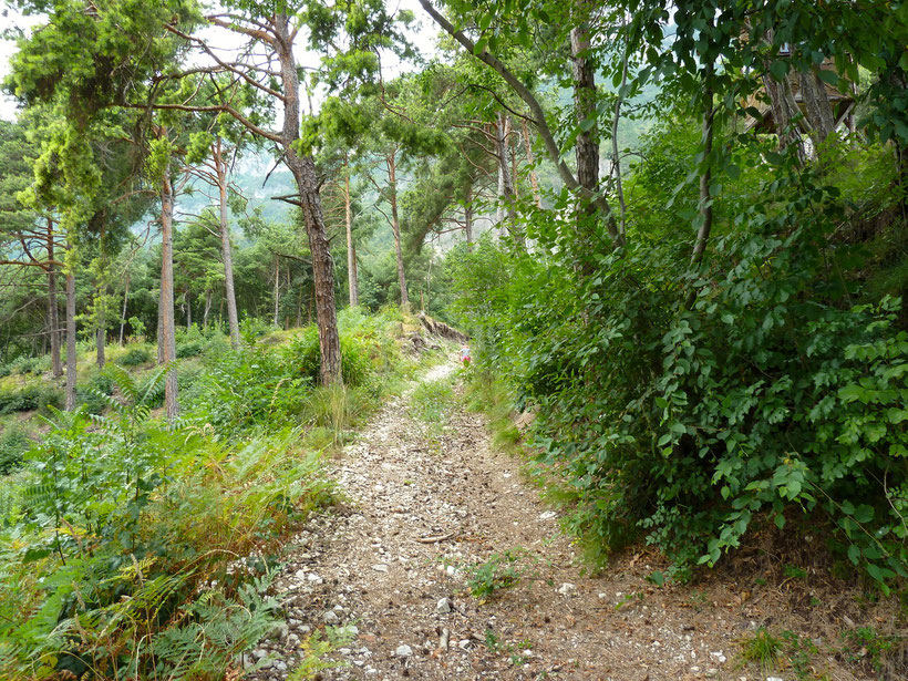 Wandern, meckern, mosern. Unterwegs um Hofstatt