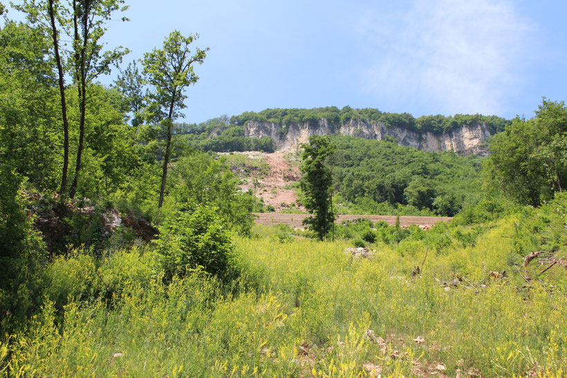 Blick zum Hang. Die Vegetation hat die Schäden teils schon wieder bedeckt