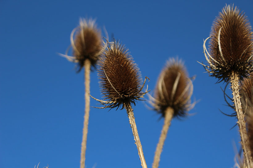 Blauer Himmel!