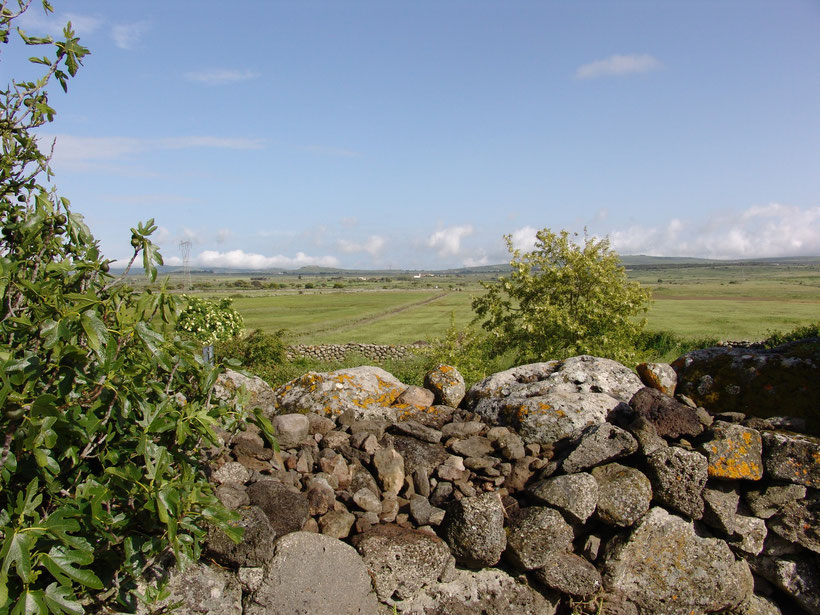 Nichts bis zum Horizont. Agriturismo Nuragh` Elighe