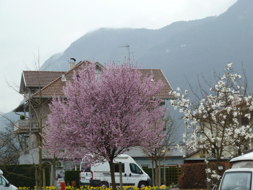 Camping Obstgarten. Ein regnerischer Tag im April