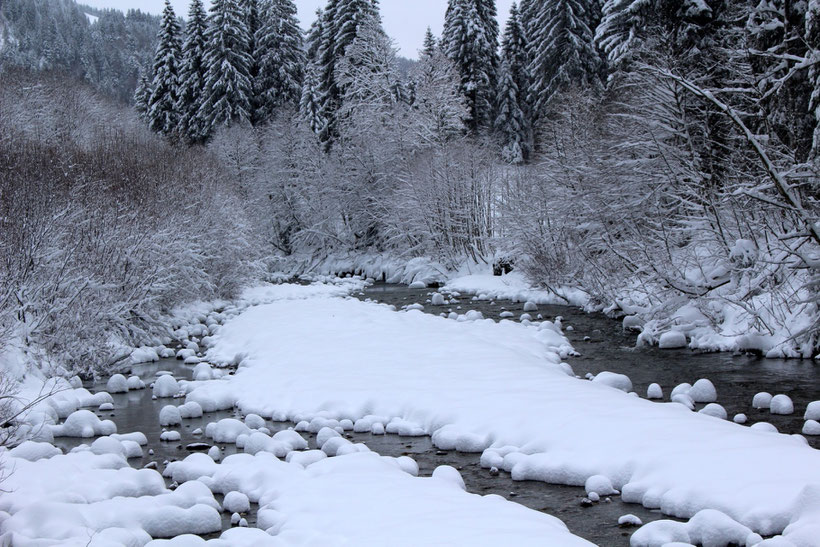 Winterwanderweg am Schwabenhof, Balderschwang