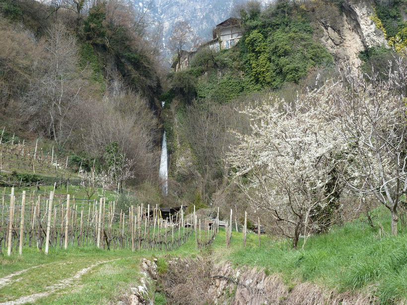 Weinlehrpfad zwischen Kurtatsch und Entiklar