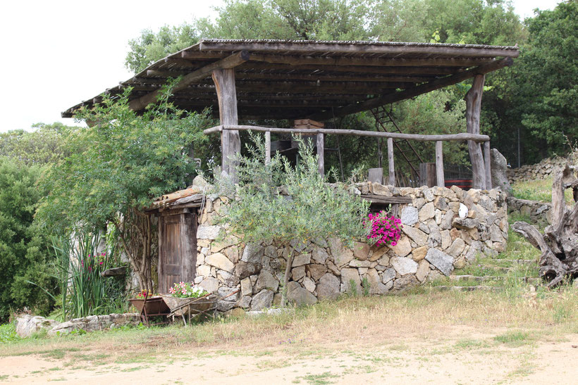 Agriturismo Badu Orgolesu