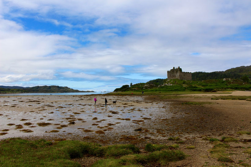 Ebbe beim Castle Tioram