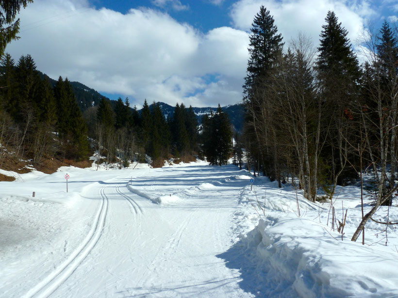 Loipe und Wanderweg. Vom Schwabenhof nach Balderschwang