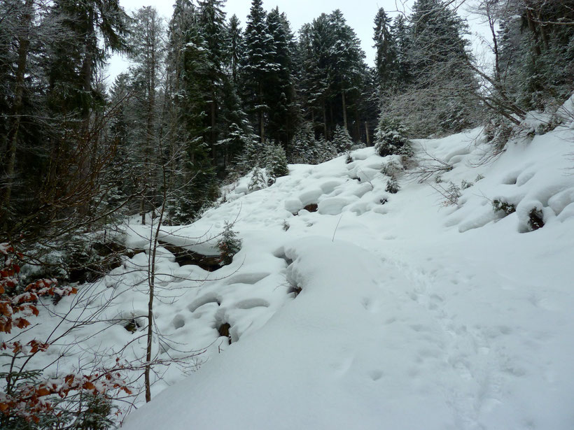 Ächz, schnauf, stöhn 