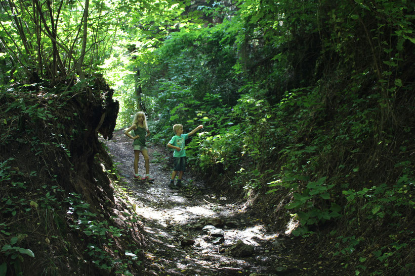 Wandern, so wie es auch unsere Kinder mögen. Höhlig, wurzlig und hinter der nächsten Biegung wartet vielleicht ein unerforschtes Geheimnis