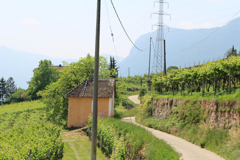 Zurück nach Kurtatsch geht es schnell und bequem auf dem Fahrweg