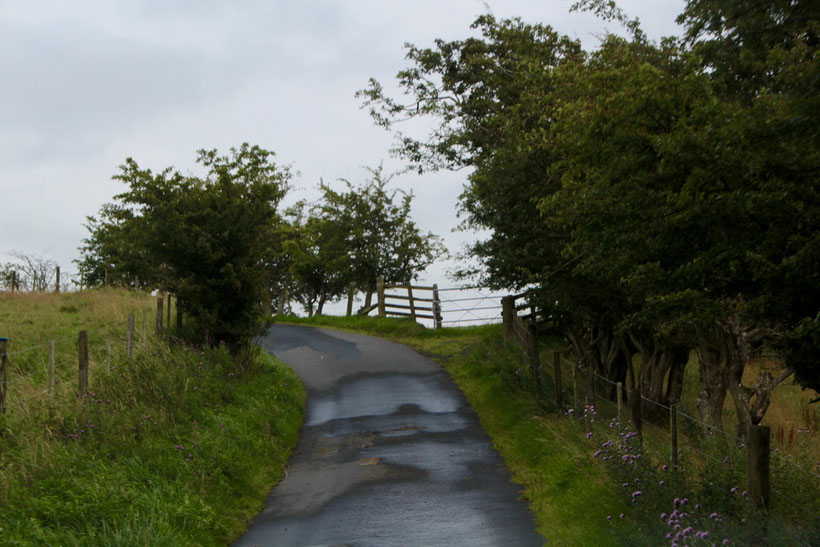 Single track road in den schottischen Borders