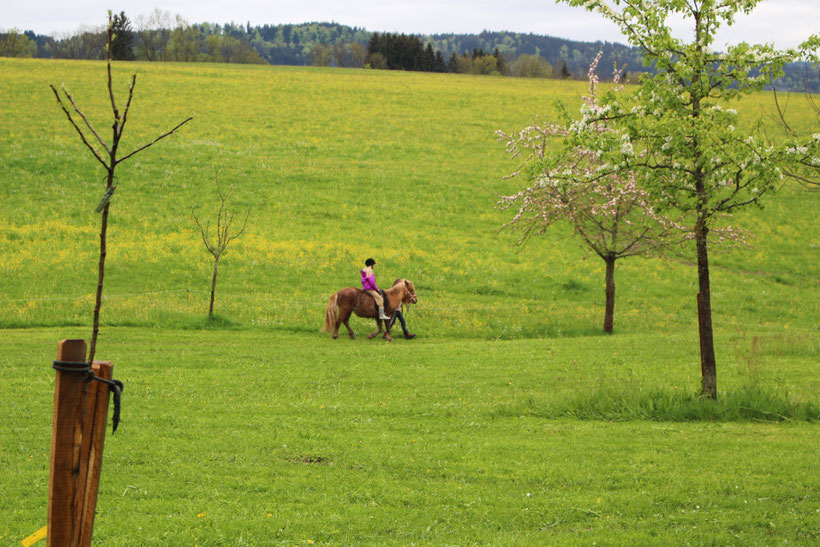 Durch tropfnasse Wiesen um den Tannenhof