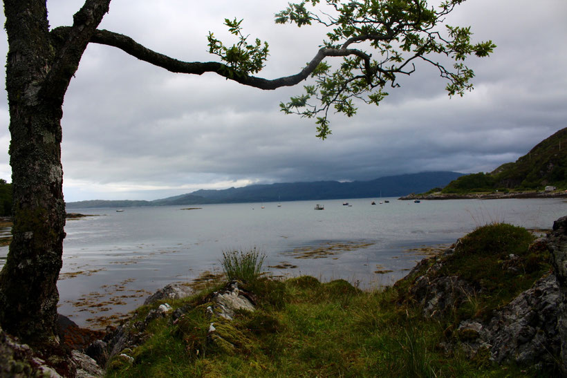 Bucht in Glenuig